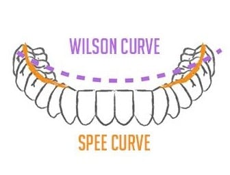 wilson curve and spee curve