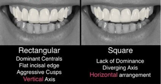 rectangular and square teeth