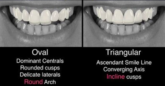 Oval and Triangular teeth